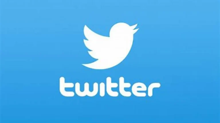 Twitter User Statistics 2025