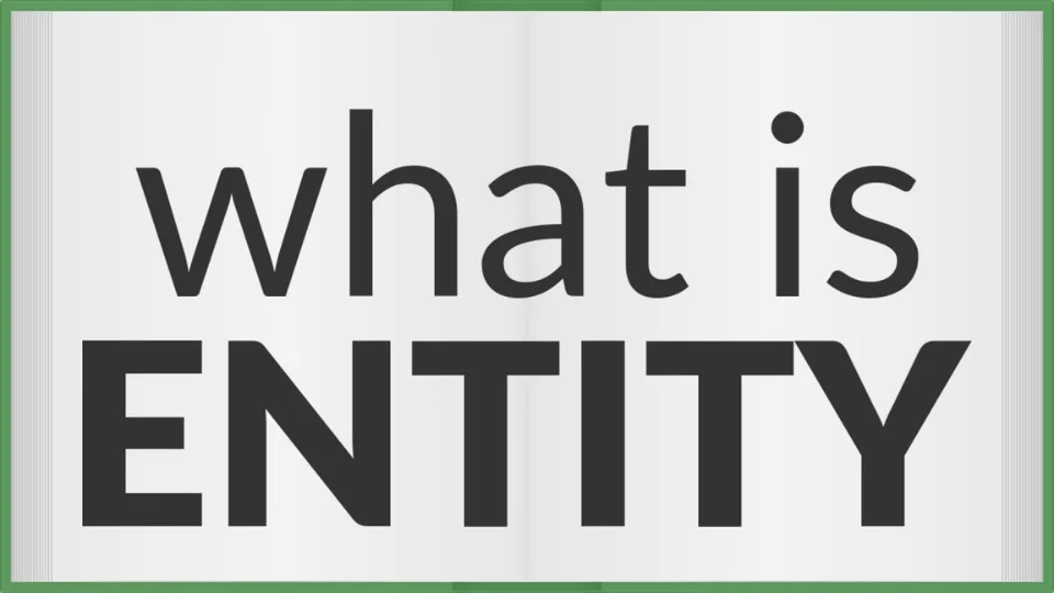 What Is an Entity